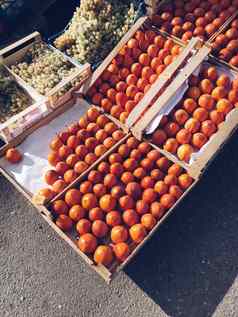 收获秋天水果成熟的柿子葡萄盒子