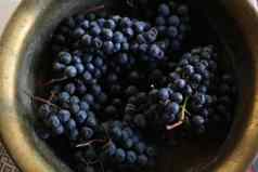 葡萄蓝色的成熟的桶视图