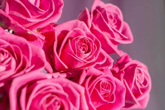 作文花束粉红色的玫瑰精致的织物背景假期礼物柔和的颜色节日精致的背景生日婚礼花束情人节一天问候卡