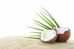 椰子棕榈叶清晰的海沙子孤立的白色背景夏天假期