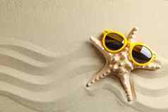 清晰的海沙子海星太阳镜空间文本夏天假期背景