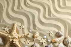 清晰的海沙子海星贝壳空间文本前视图夏天假期背景