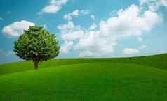 绿色树绿色草坡白色云蓝色的天空