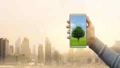 女人手持有现代绿色树屏幕智能手机城市背景储蓄环境自然保护概念