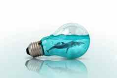 光灯泡海豚游泳内部蓝色的背景平躺模式