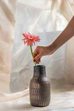 手年轻的女人铜颜色手工制作的陶瓷花瓶粉红色的花脸红变形表格布