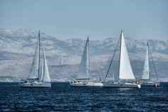 比赛帆船赛船会反射帆水强烈的竞争数量船船尾船明亮的颜色岛风车背景