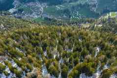 空中视图巨大的谷山意大利特伦蒂诺绿色梅多斯山坡上绿色云杉树白云石山脉背景小镇底谷