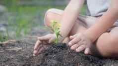 孩子手种植幼苗日益增长的树土壤花园