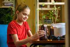 女孩国家房子设置移植幼苗花园植物塑料瓶