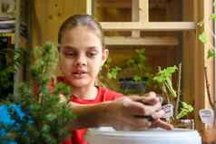 女孩需要土壤桶种植植物特写镜头
