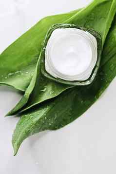 自然保湿奶油Jar绿色叶子美平铺水疗中心化妆品护肤品