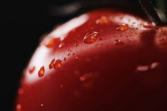 新鲜的成熟的番茄有机食物