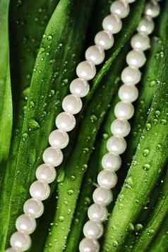 珍珠异国情调的绿色叶子奢侈品珠宝