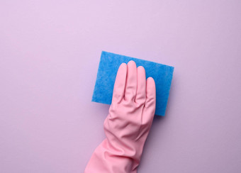 女手粉红色的橡胶手套持有蓝色的厨房海绵紫色的背景