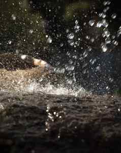 雨水下降下降石头