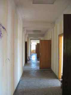 房间走廊被遗弃的工业建筑奇吉林核权力植物