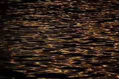黄金反射太阳水日落有趣的纹理光滑的行水