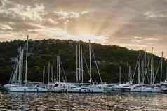 帆船玛丽娜克罗地亚岛屿日落树背景阳光