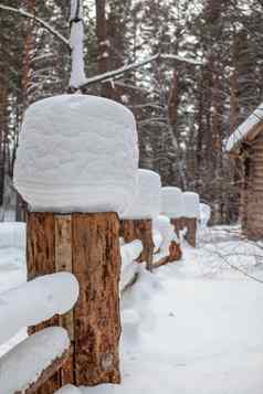 大雪帽树桩栅栏冬天