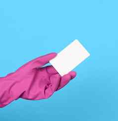 空白白色纸板业务卡手粉红色的手套手蓝色的背景