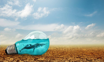 光灯泡海豚游泳内部oncracked地球储蓄环境自然保护概念
