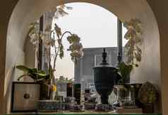 美丽的古董茶杯陶瓷Jar集合白色兰花花能显示窗口
