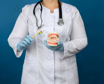 女医生白色外套面具持有塑料模型人类下巴木牙刷