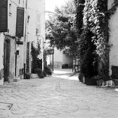 小巷风景如画的普罗旺斯的村格里莫法国