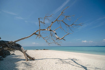 美丽的白色沙子海滩清晰的蓝色的海竹子岛KOH五月pai斐斐岛国家公园甲米安达曼泰国