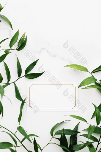 空白白色黄金卡绿色叶子白色背景植物框架平铺婚礼邀请品牌平躺设计