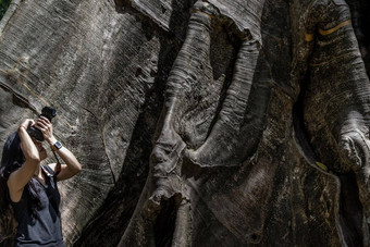 年轻的女人肩膀袋相机照片巨大的大树<strong>大小比较</strong>人类巨大的大树禁止萨南乌泰他尼府省泰国