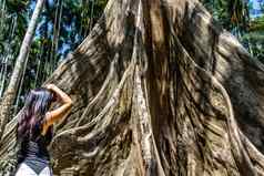 年轻的女人肩膀袋相机照片巨大的大树大小比较人类巨大的大树禁止萨南乌泰他尼府省泰国