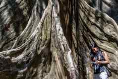 年轻的女人肩膀袋看照片相机大小比较人类巨大的大树禁止萨南乌泰他尼府省泰国