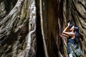 年轻的女人肩膀袋相机照片巨大的<strong>大树</strong>大小比较人类巨大的<strong>大树</strong>禁止萨南乌泰他尼府省泰国
