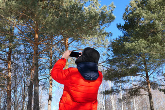 男人。自然年轻的男人。冬天明亮的衣服需要照片自然松柏科的森林蓝色的天空