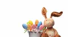 泰迪兔子坐着白色背景装饰色彩斑斓的复活节鸡蛋
