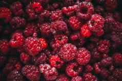 树莓新鲜的浆果生态友好的背景宏照片食物树莓概念健康维生素感冒适当的营养模板设计