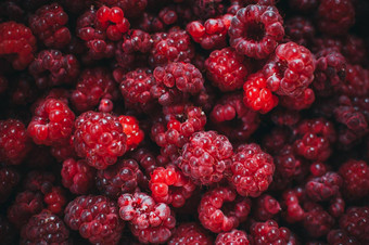 树莓新鲜的浆果生态友好的背景宏照片食物树莓概念健康维生素<strong>感冒</strong>适当的营养模板设计