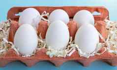 白色新鲜的有机鸡蛋米色环保纸板蛋容器蓝色的背景复活节概念生态浪费