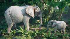 非洲大象婴儿大象吃植物绿色丛林非洲丛林呈现