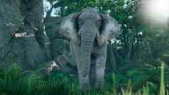 灰色的非洲大象走绿色丛林早期早....非洲丛林呈现