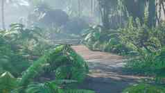 美丽的丛林绿色蕨类植物热带雨林视图绿色森林丛林阳光明媚的早....呈现