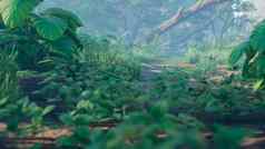 美丽的丛林绿色蕨类植物热带雨林视图绿色森林丛林阳光明媚的早....呈现