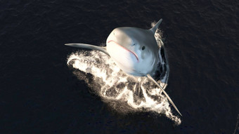 大鲨鱼<strong>飞跃</strong>水宽开放口完整的锋利的危险的牙齿呈现