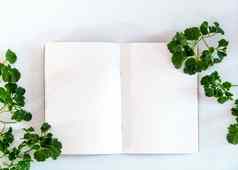 白色纸笔记本绿色叶子框架