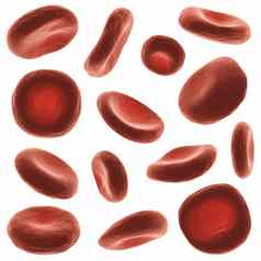 红色的血细胞高详细的表面集视图形状白色孤立的背景呈现