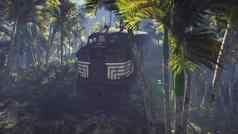 破坏了火车谎言丛林中间棕榈树热带植被呈现