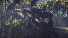 破坏了火车谎言丛林中间棕榈树热带植被呈现