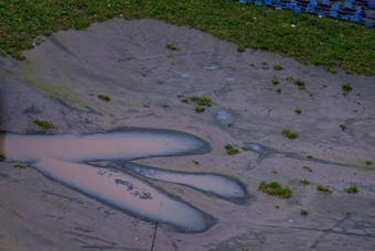 美丽的潮phraya河低潮纹理泥背景